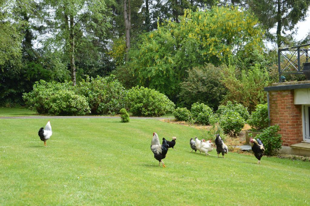 La Grange Des Marettes Bed & Breakfast Cléres Eksteriør bilde